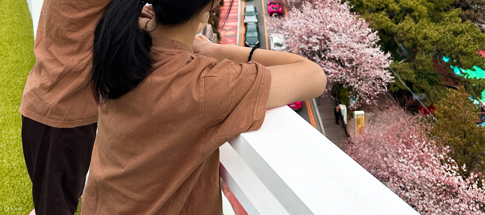 Mais c'est mieux de le voir avec quelqu'un que seul~ Une observation romantique des cerisiers en fleurs.